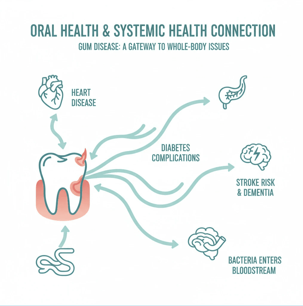 Infographic showing the connection between oral health and systemic health, illustrating how bacteria from gum disease can enter the bloodstream and contribute to heart disease, diabetes complications, stroke risk, and dementia, with arrows connecting an inflamed tooth and gums to various body organs including the heart, pancreas, brain, and blood vessels - best dental cleaning infographic